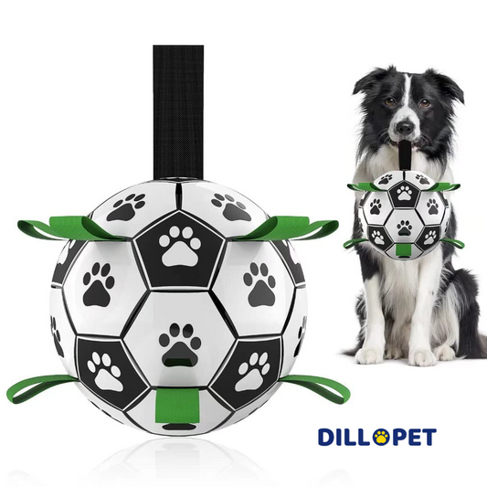 DilloFootball™ - Fußball für Hunde mit Gurte